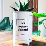 Les copines d'abord - Plante grasse