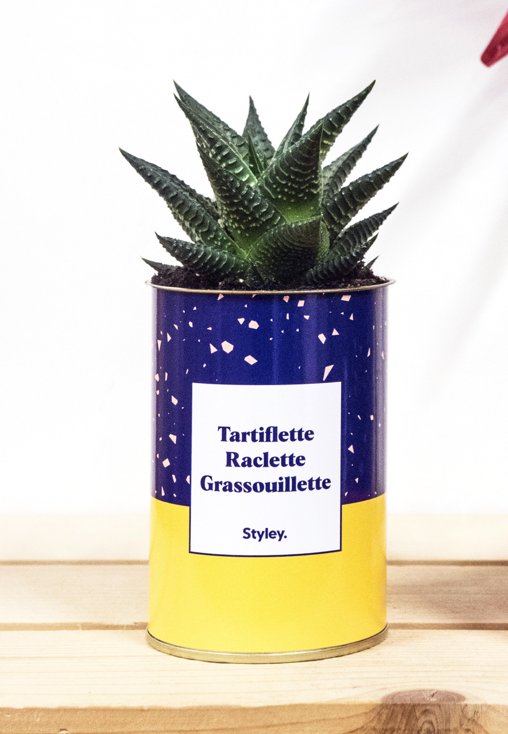 Tartiflette, raclette, grassouillette - Cactus