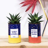 Tartiflette, raclette, grassouillette - Cactus