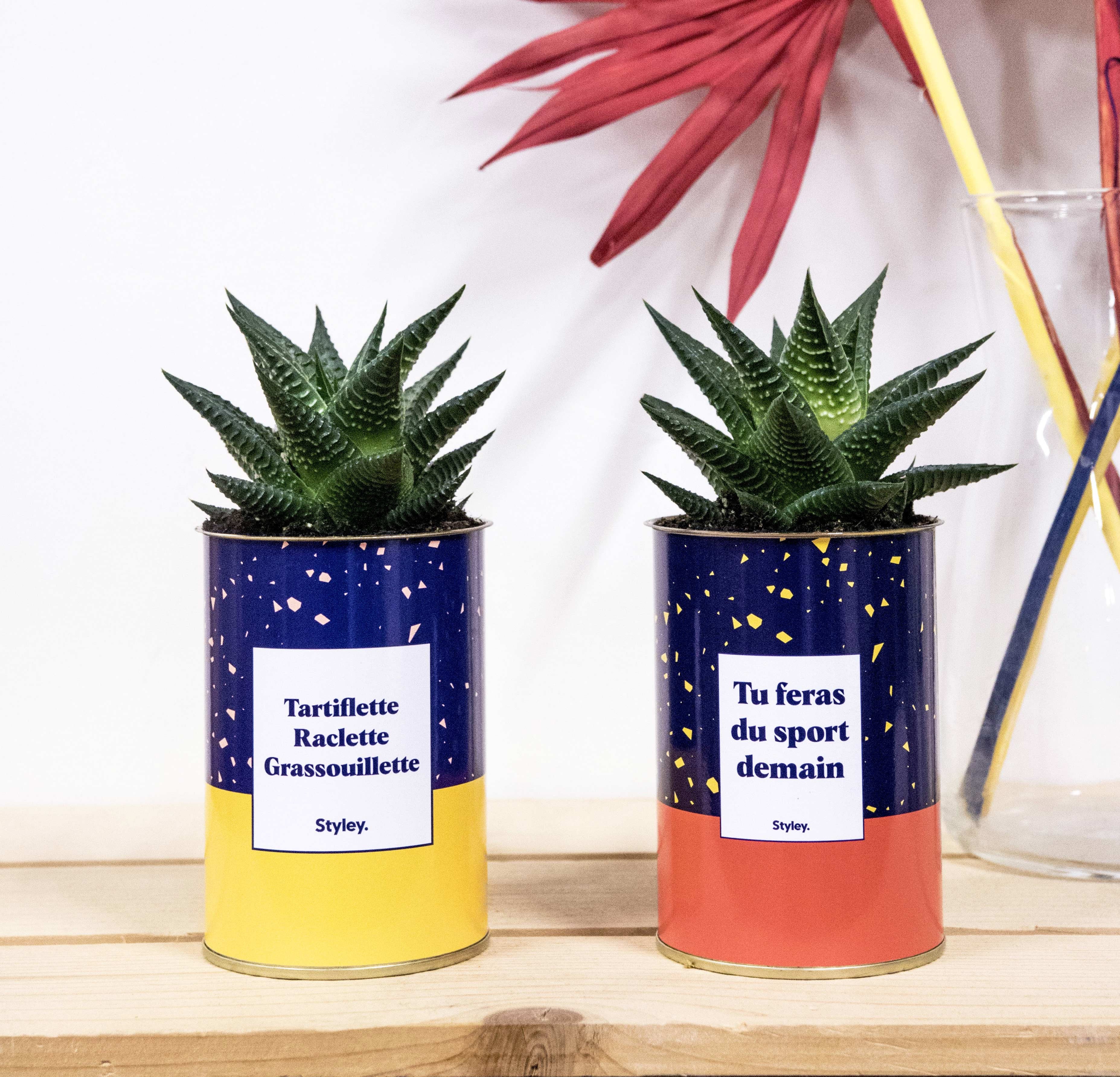 Tartiflette, raclette, grassouillette - Cactus