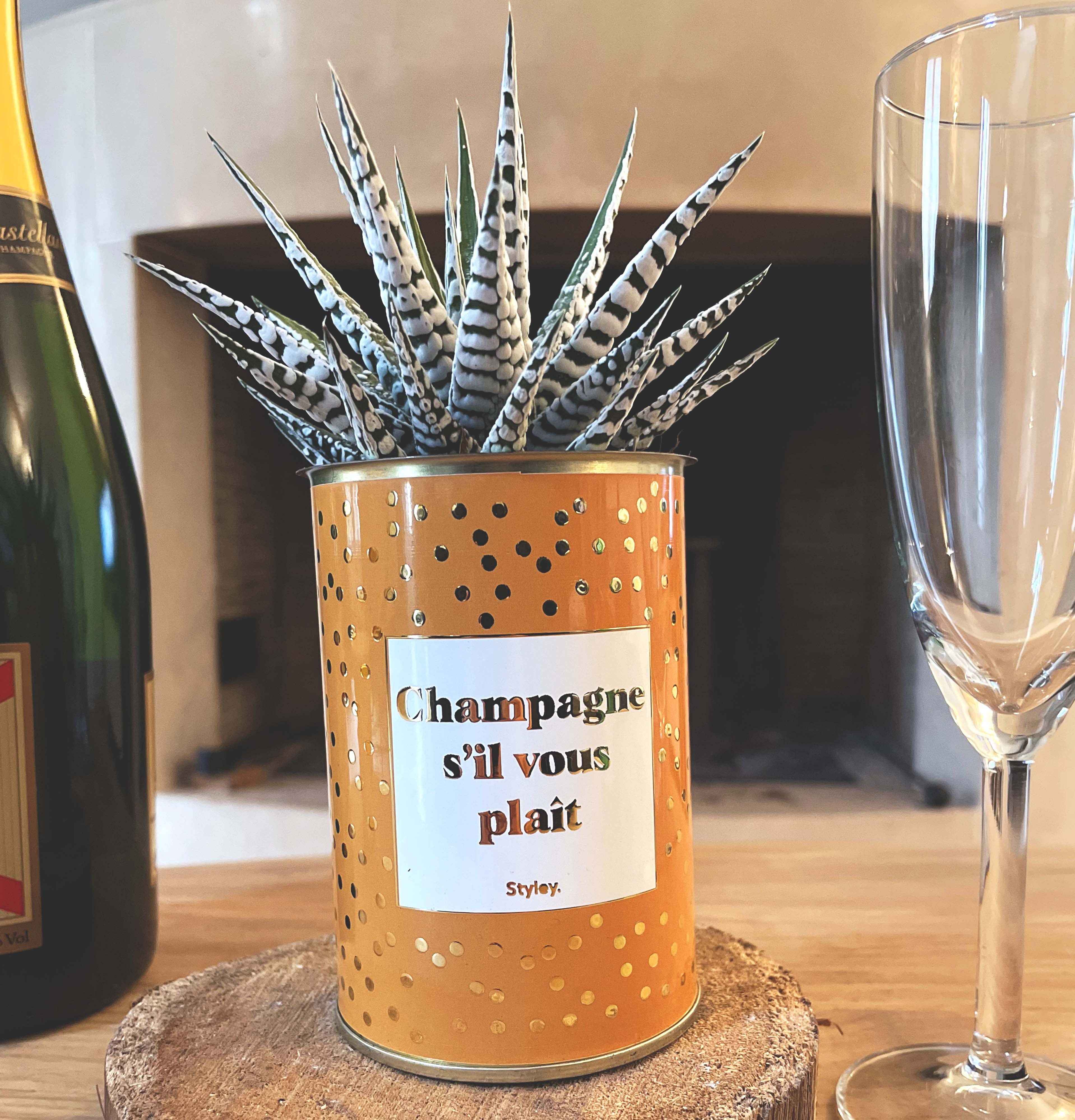 Champagne s'il vous plaît - Cactus - Finitions gold