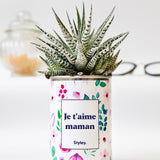 Je t'aime Maman - Cactus