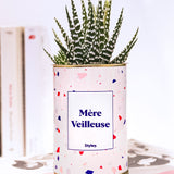 Mère Veilleuse - Cactus