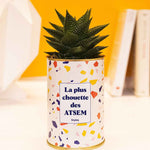 La plus chouette des ATSEM - Cactus