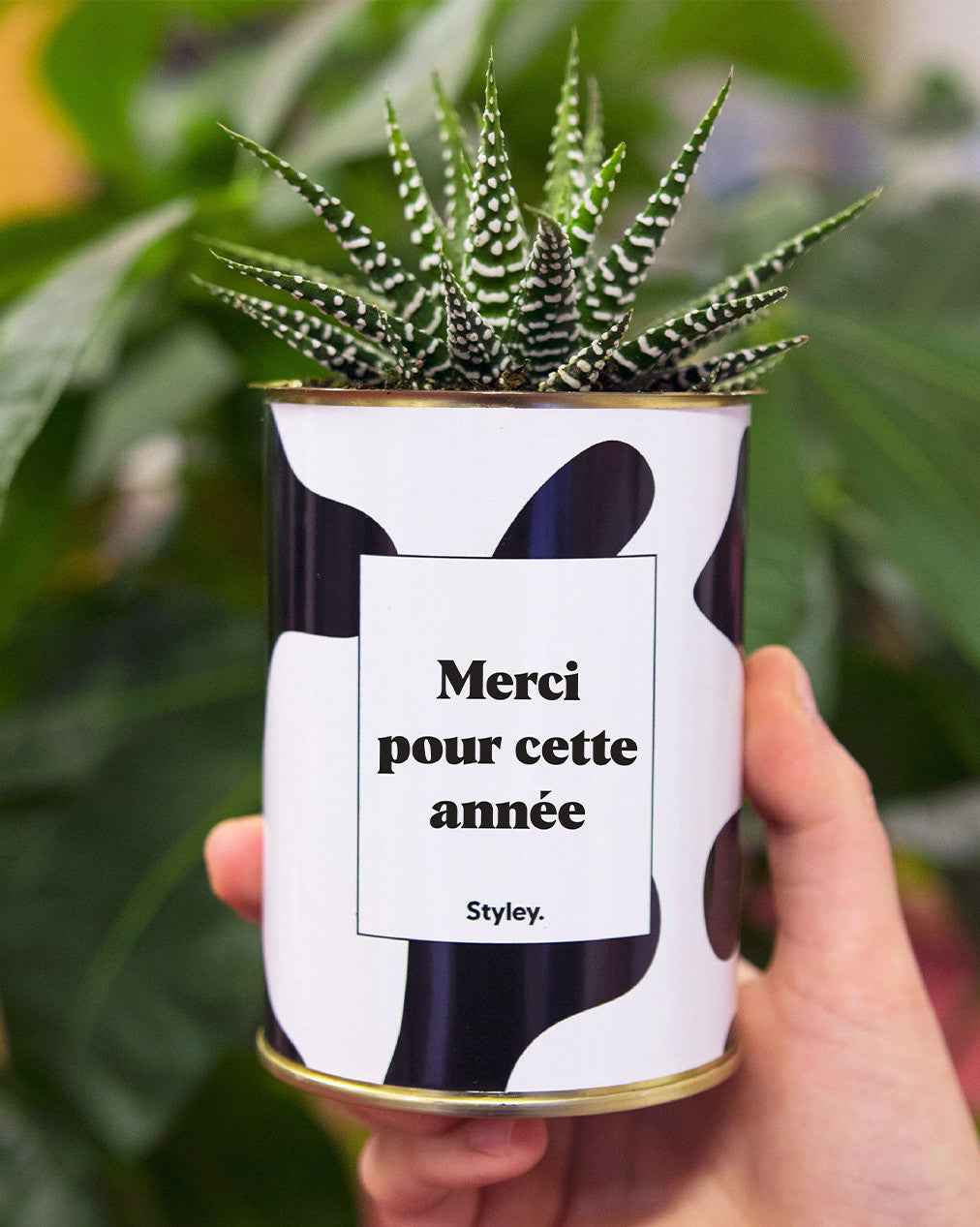 Merci pour cette année - Cactus