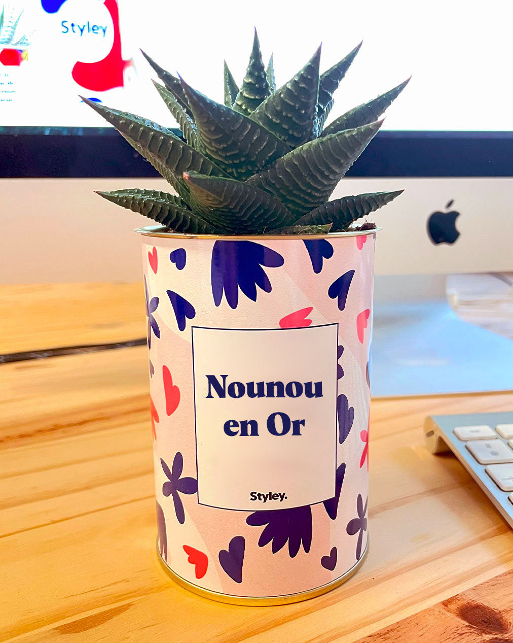 Nounou en or - Cactus