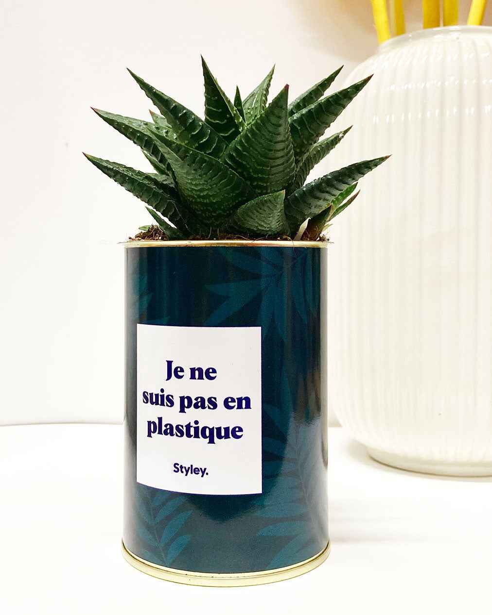 Je ne suis pas en plastique - Cactus