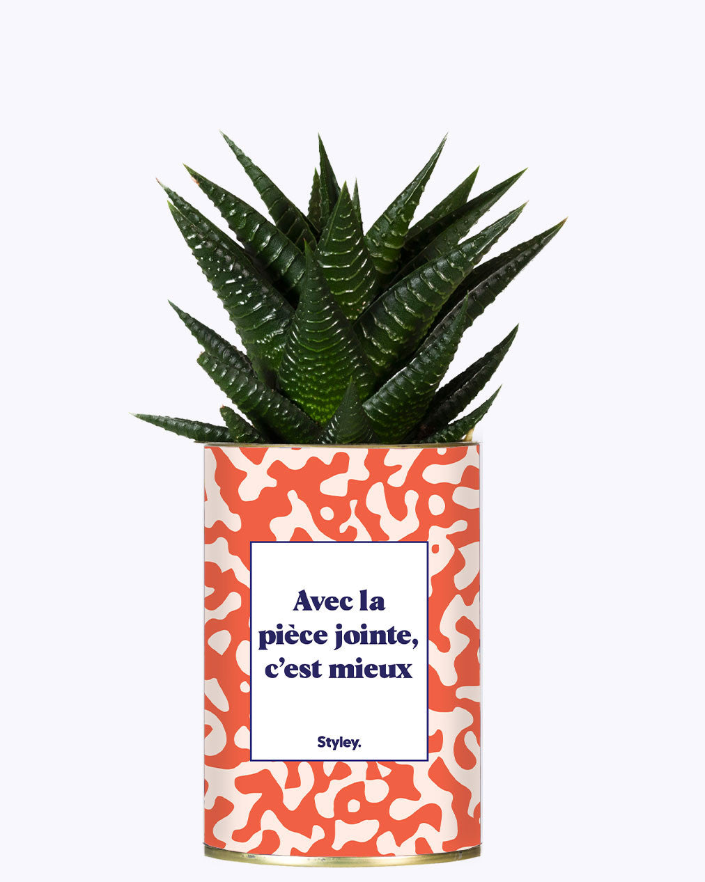Avec la pièce jointe - Cactus