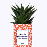 Avec la pièce jointe - Cactus