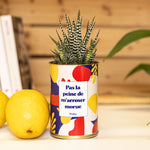 Pas la peine de m'arroser morue - Cactus