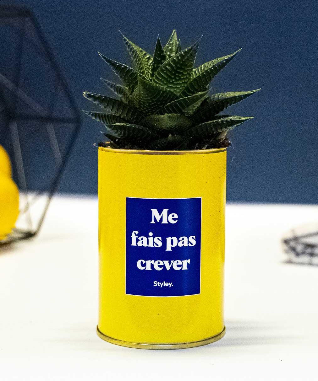 Me fais pas crever - Cactus
