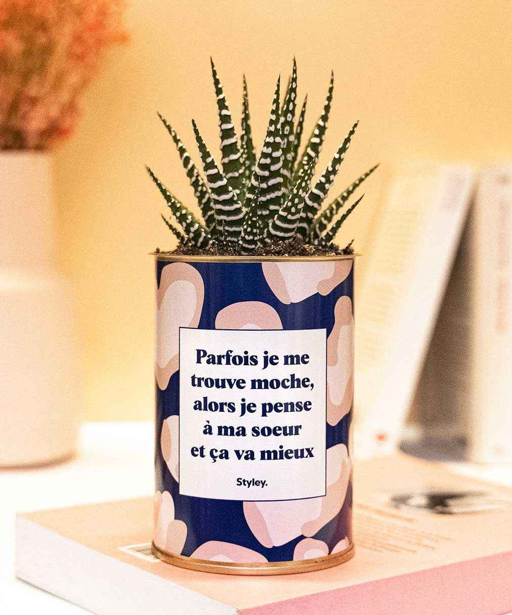 Soeur Moche - Cactus