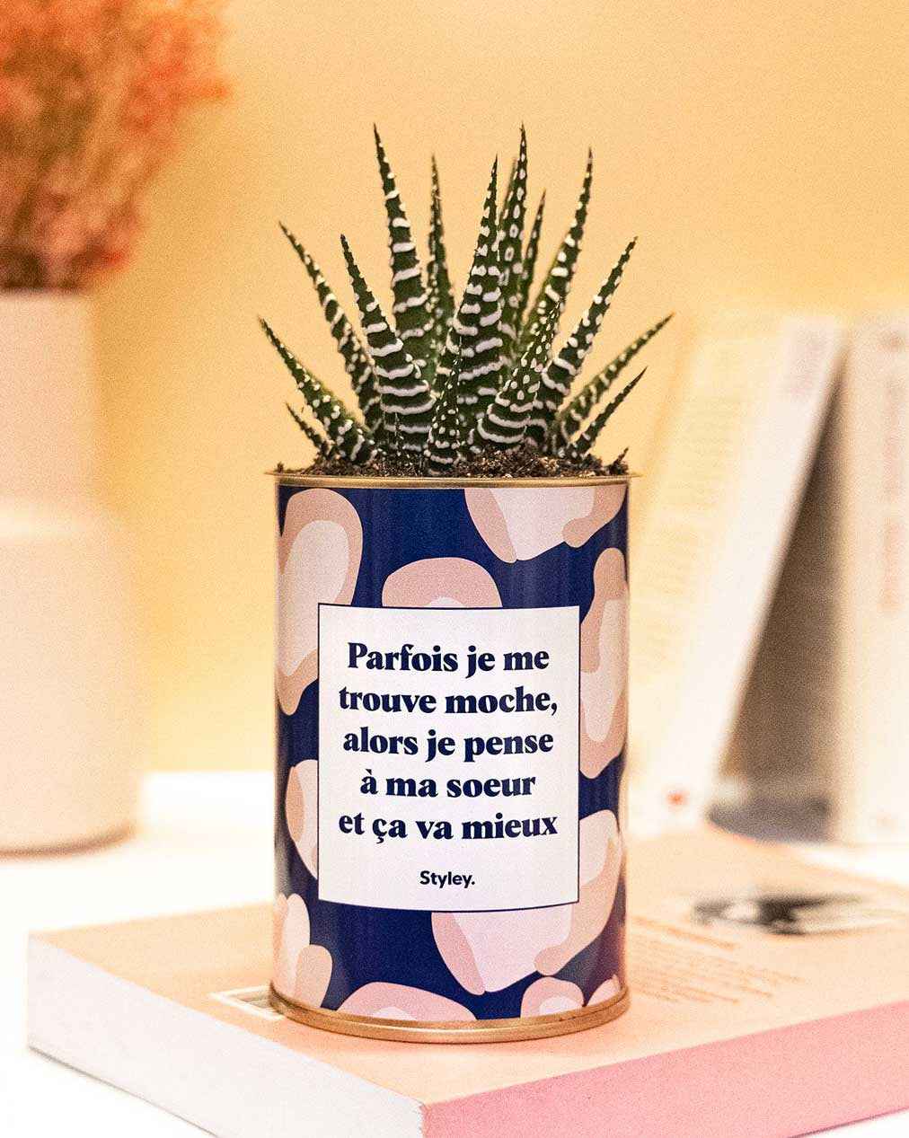 Soeur Moche - Cactus