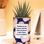 Soeur Moche - Cactus