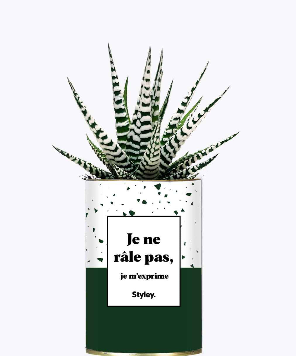 Je ne râle pas - Cactus