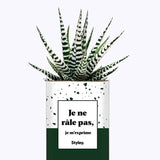 Je ne râle pas - Cactus