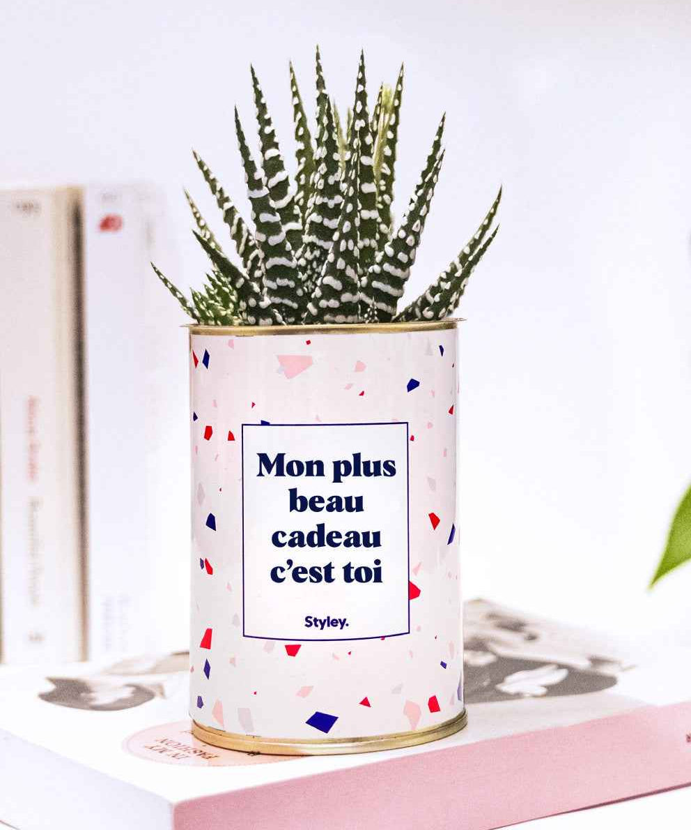 Mon plus beau cadeau c'est toi - Cactus