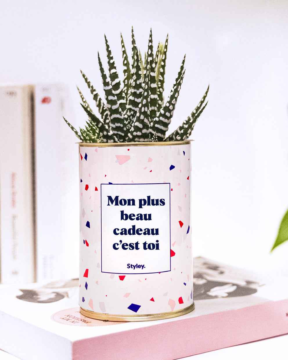 Mon plus beau cadeau c'est toi - Cactus