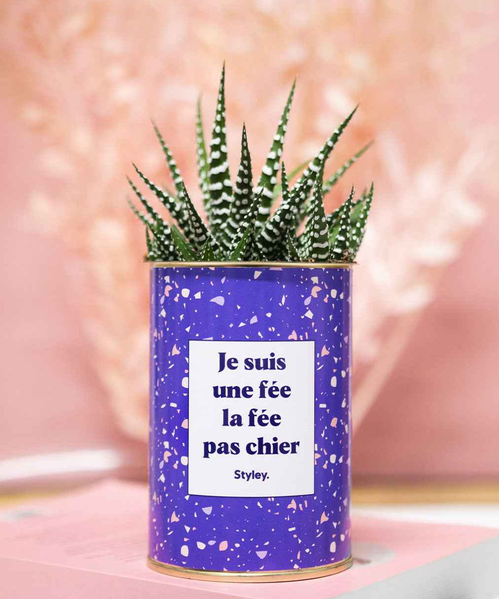 Je suis une fée la fée pas chier - Cactus
