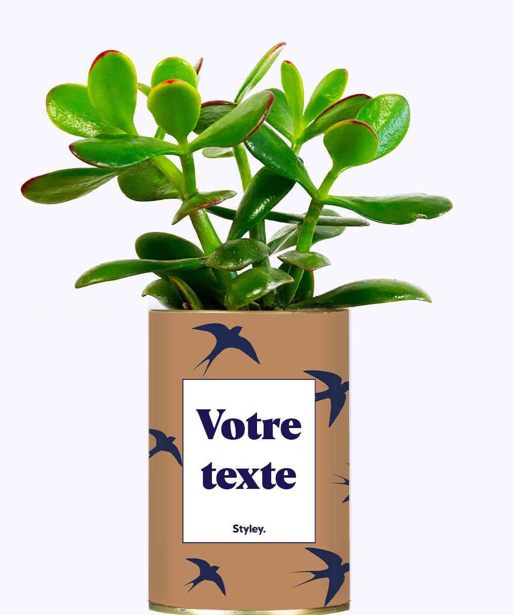 Cactus Hirondelles - Personnalisable