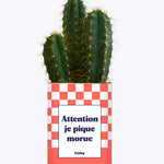 Attention je pique morue - Cactus