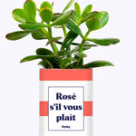 Rosé s'il vous plait - Cactus
