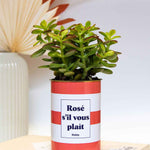 Rosé s'il vous plait - Cactus