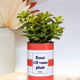 Rosé s'il vous plait - Cactus