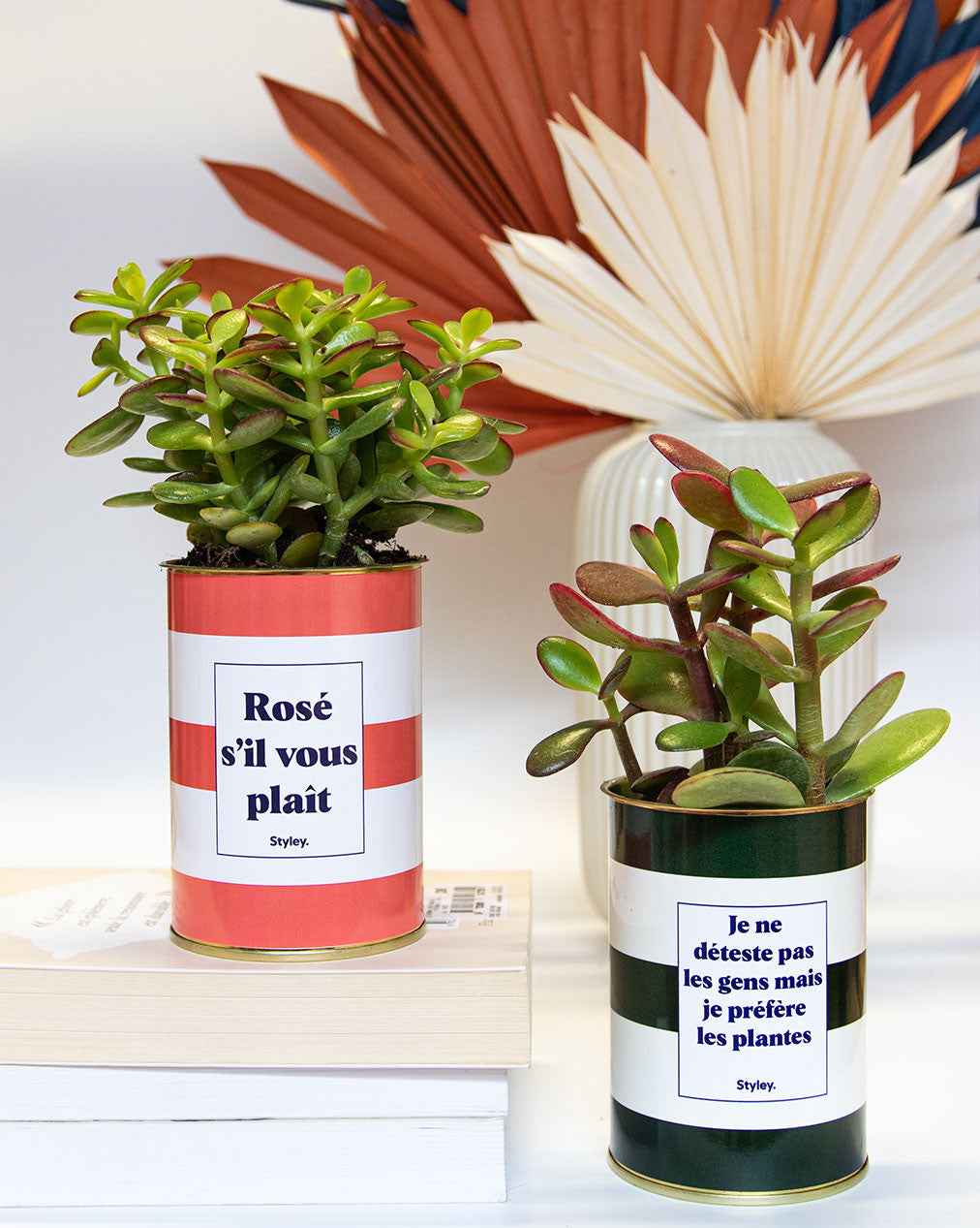 Rosé s'il vous plait - Cactus