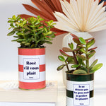 Je ne déteste pas les gens mais je préfère les plantes - Cactus