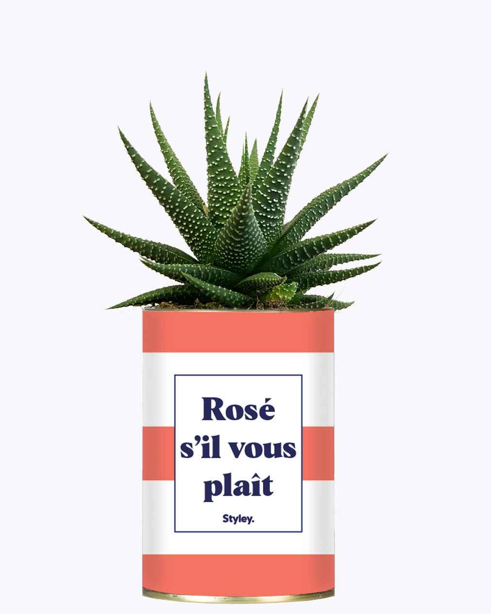 Rosé s'il vous plait - Cactus