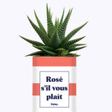 Rosé s'il vous plait - Cactus