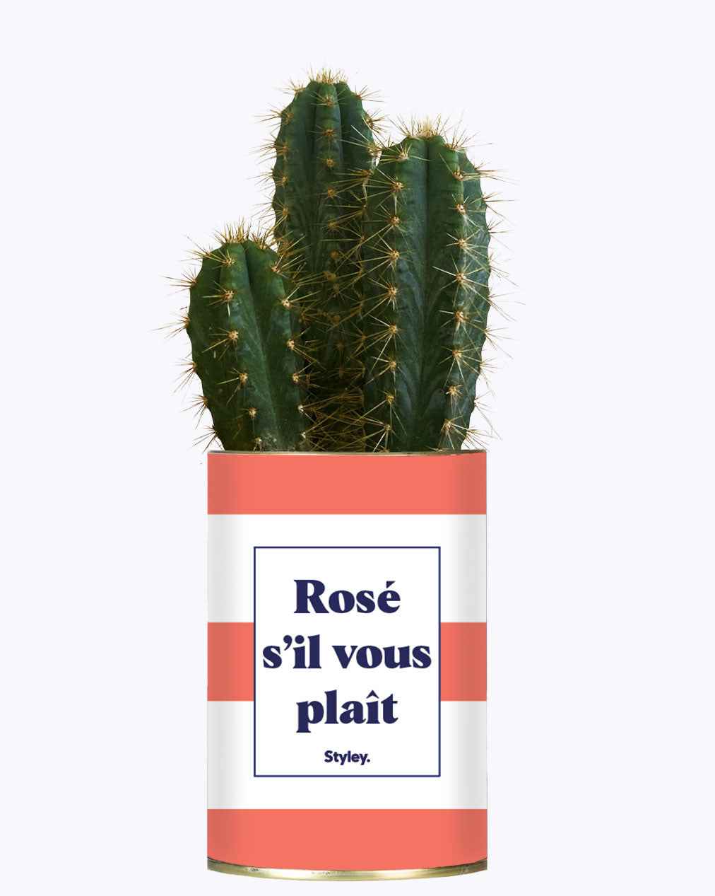 Rosé s'il vous plait - Cactus