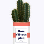 Rosé s'il vous plait - Cactus