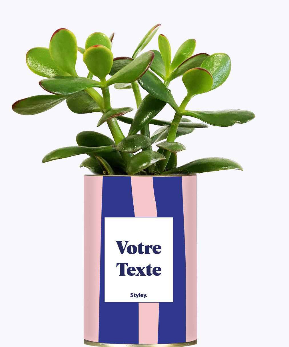 Cactus Parme - Personnalisable