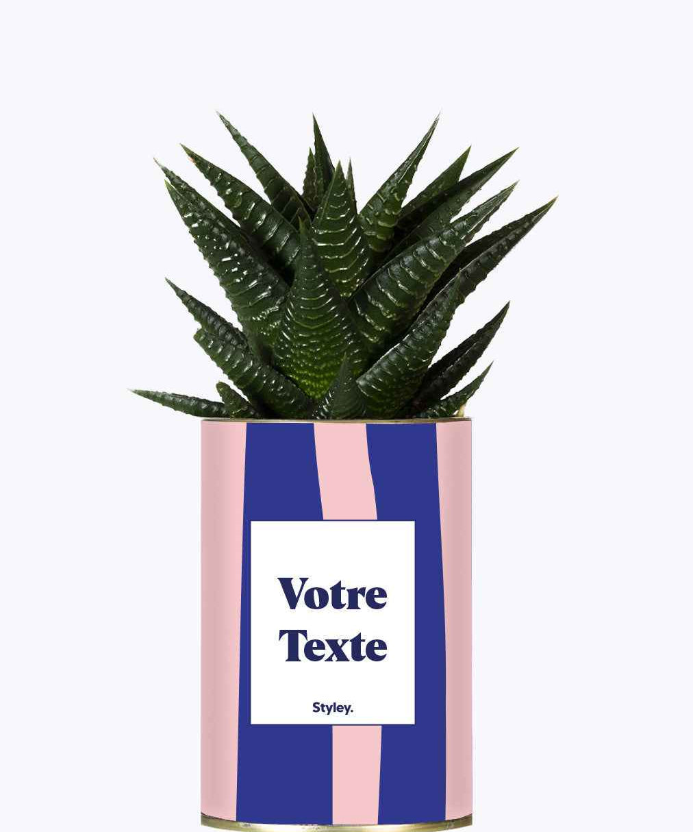 Cactus Parme - Personnalisable