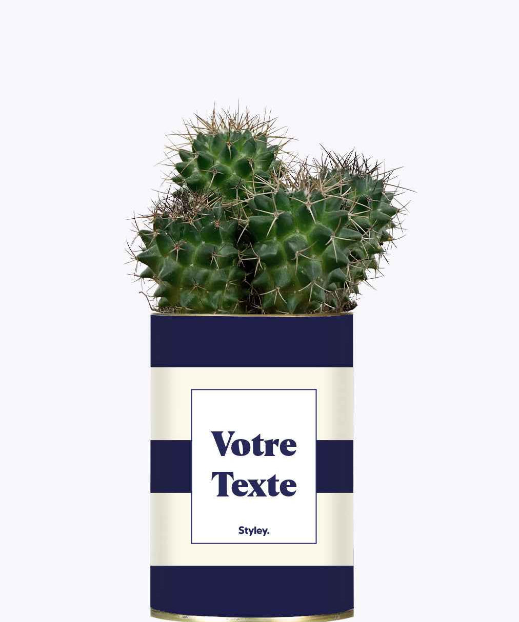 Cactus Cannes - Personnalisable