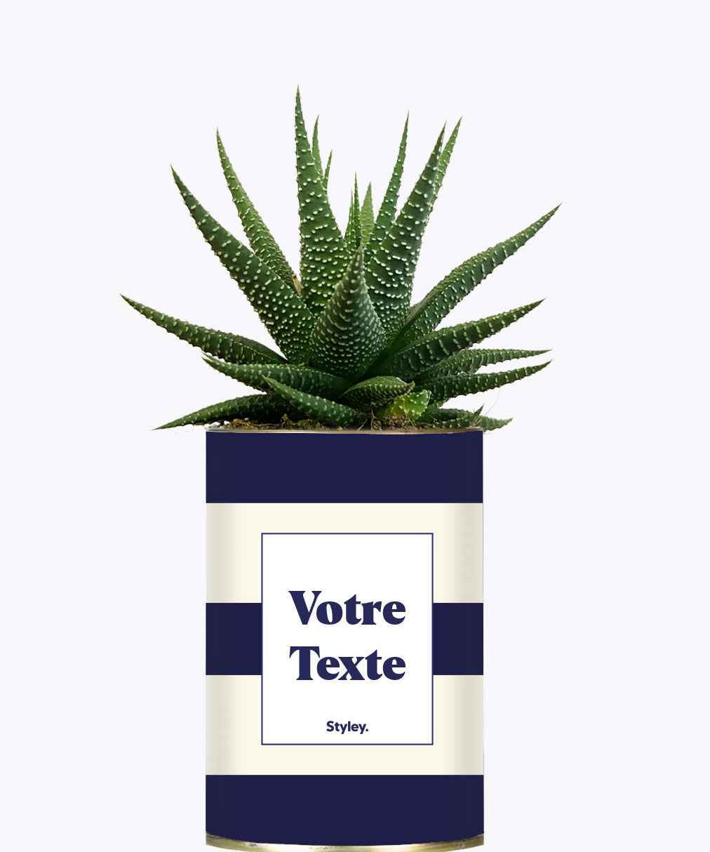 Cactus Cannes - Personnalisable