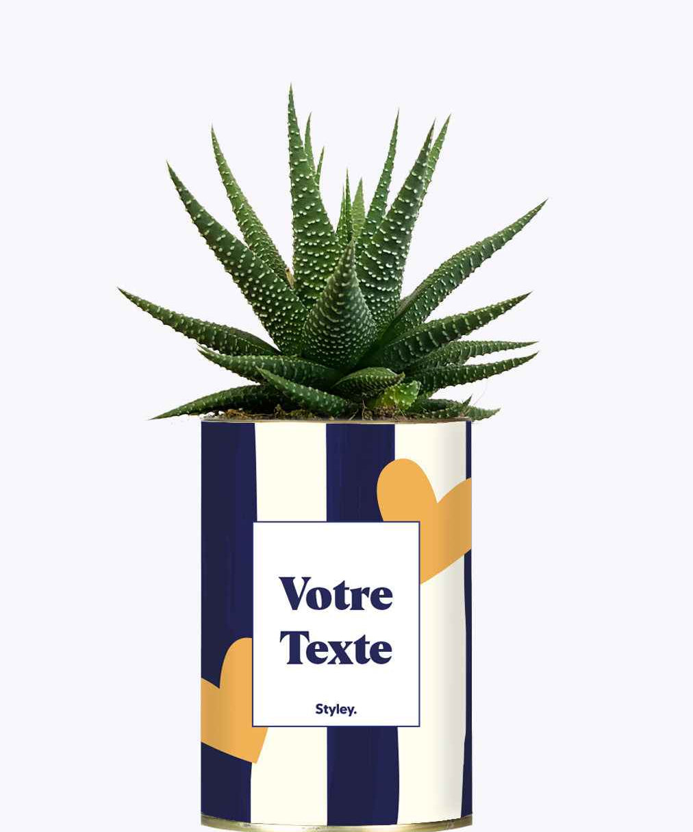 Cactus Côme - Personnalisable