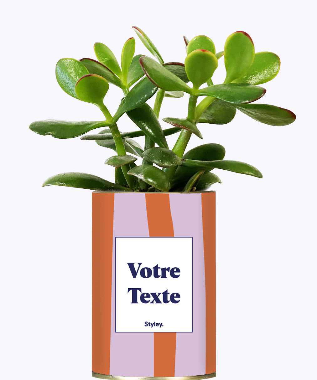 Capri - Personnalisable