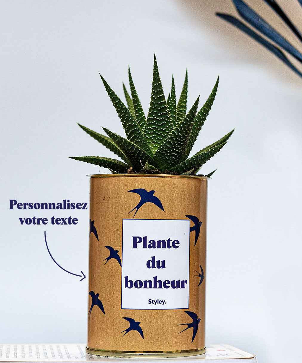 Cactus Hirondelles - Personnalisable