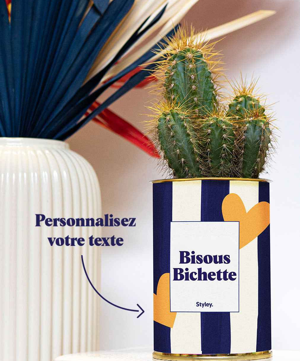 Cactus Côme - Personnalisable