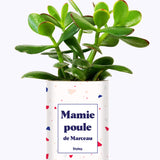 Mamie poule personnalisable - Cactus
