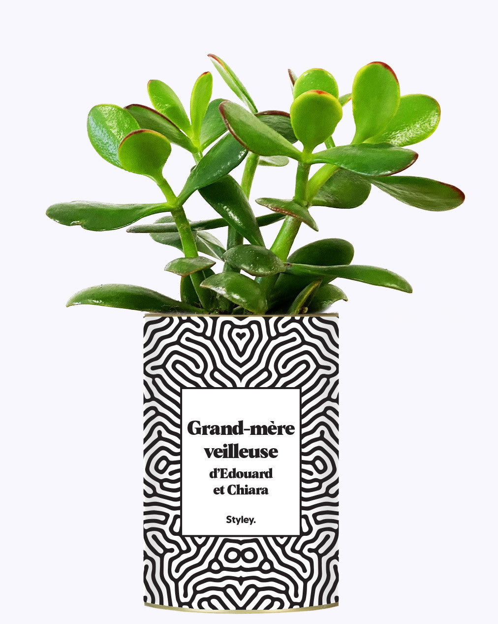 Grand-mère personnalisable - Cactus