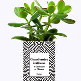 Grand-mère personnalisable - Cactus