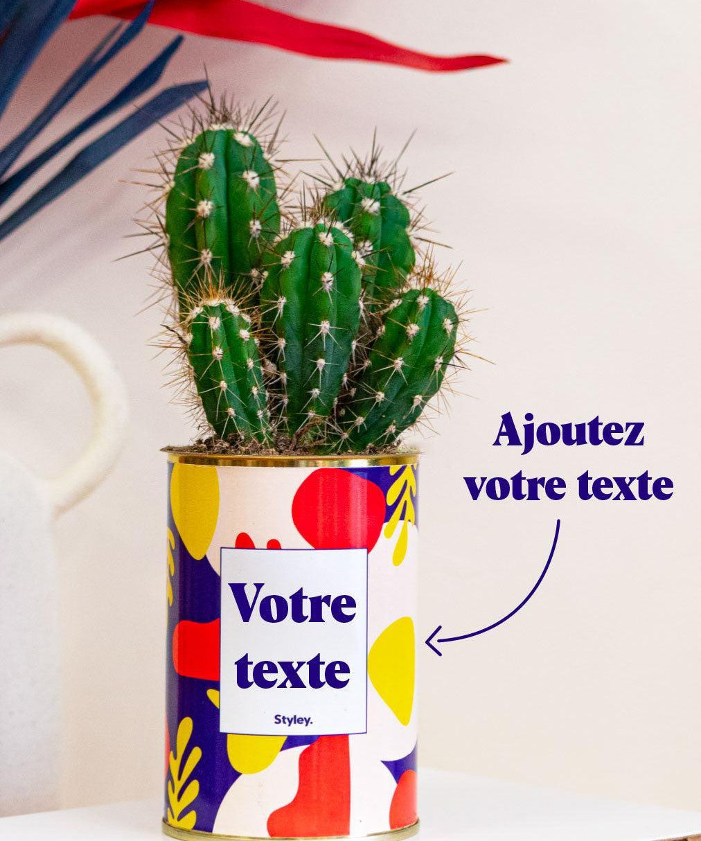Cactus Josiane - Personnalisable