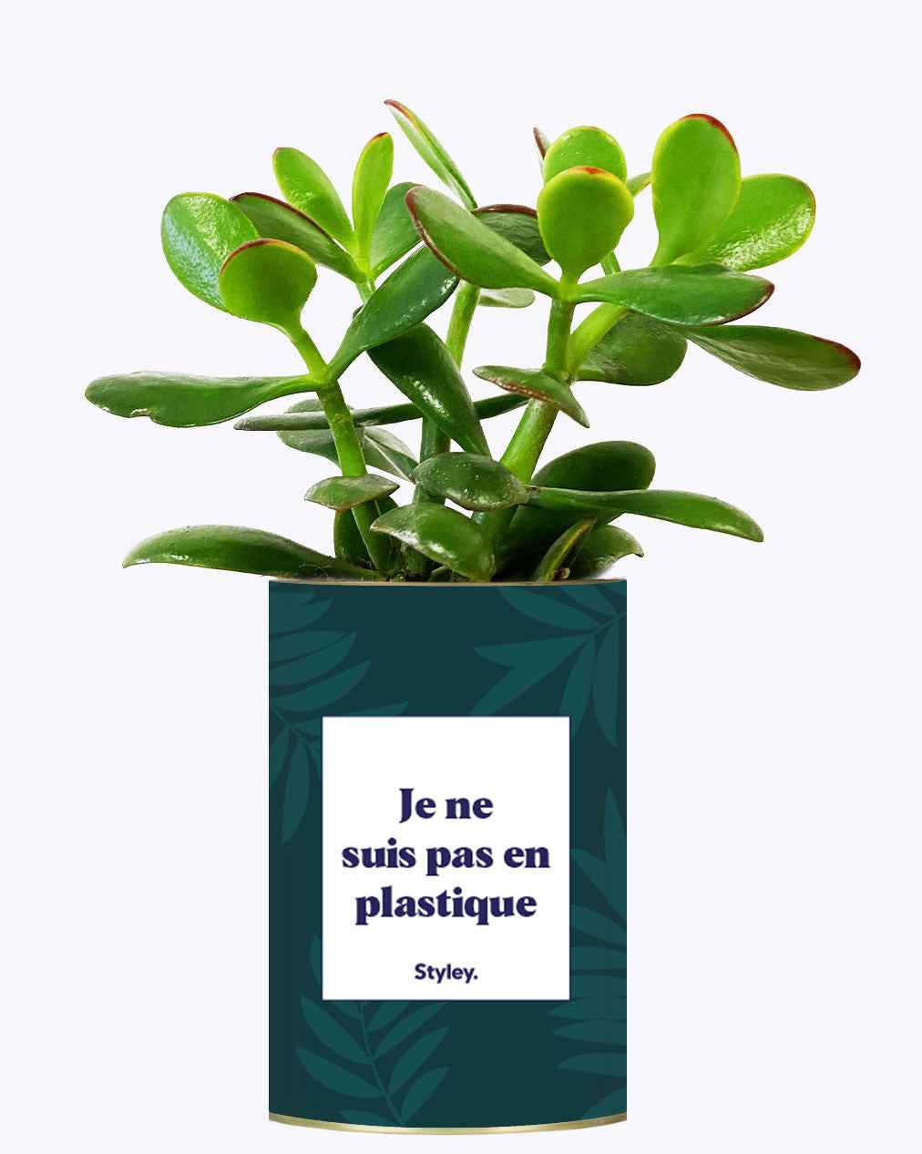Je ne suis pas en plastique - Cactus