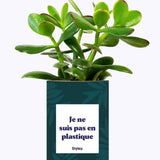 Je ne suis pas en plastique - Cactus