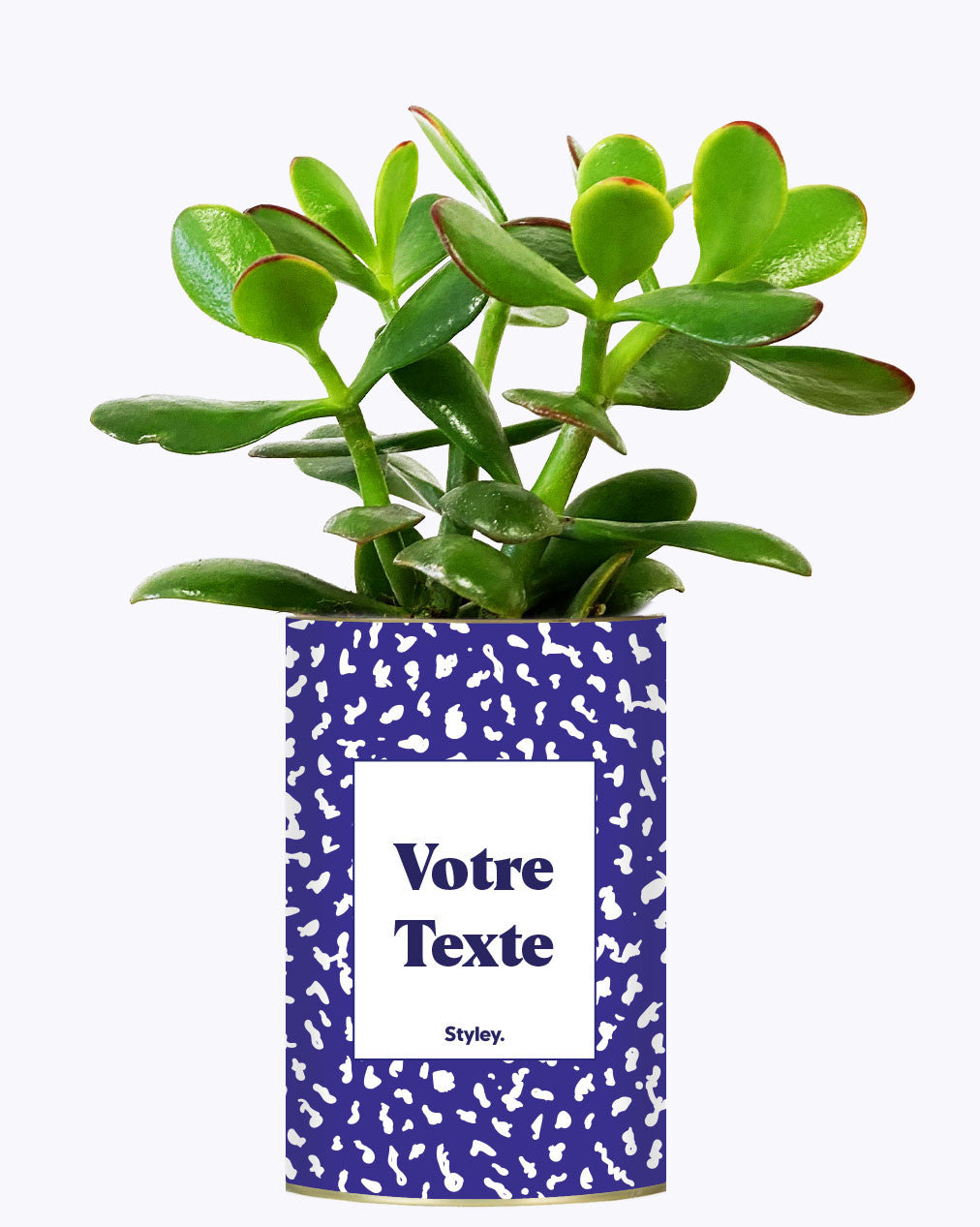 Cactus moucheté - Personnalisable