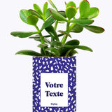 Cactus moucheté - Personnalisable